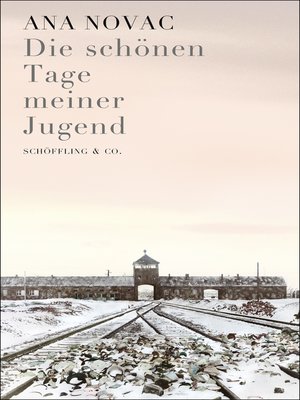 cover image of Die schönen Tage meiner Jugend
